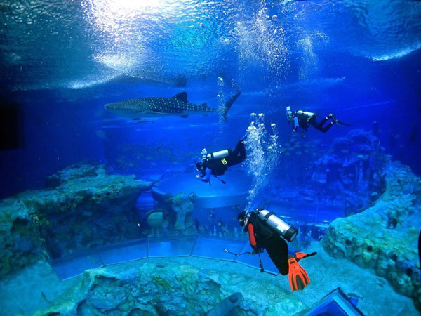 潛在水里，學(xué)做一條靜靜的魚(yú)