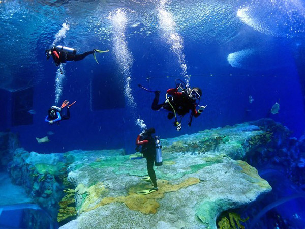 潛在水里，學(xué)做一條靜靜的魚(yú)