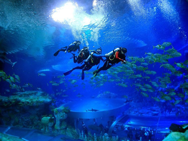 潛在水里，學(xué)做一條靜靜的魚(yú)