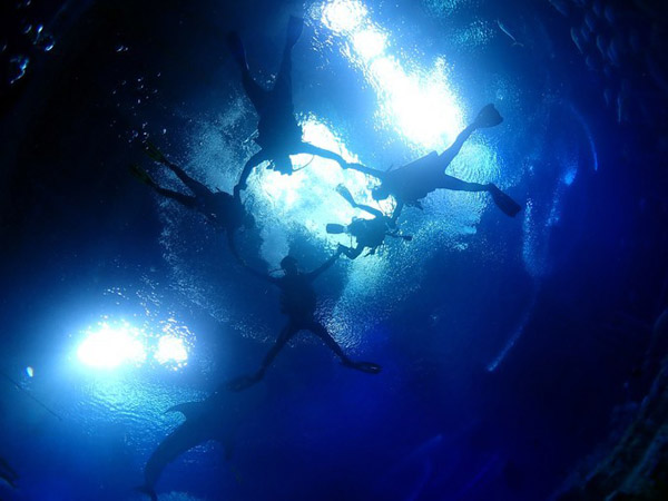 潛在水里，學(xué)做一條靜靜的魚(yú)