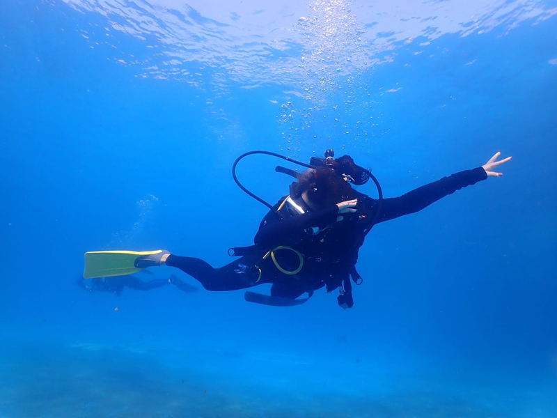 送給不會(huì )游泳卻向往海洋的你