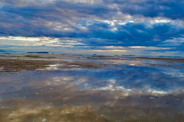 如果知道海洋中的塑料垃圾會(huì )進(jìn)入人類(lèi)肚子，你還會(huì )丟嗎？