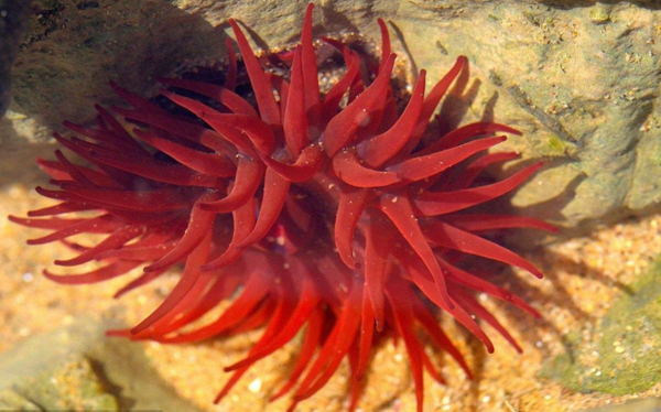 等指?？? title=